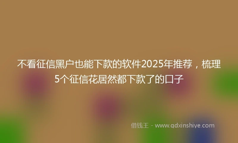 不看征信黑户也能下款的软件2025年推荐，梳理5个征信花居然都下款了的口子