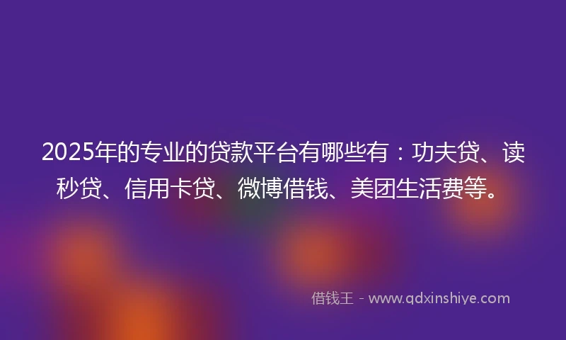 2025年的专业的贷款平台有哪些有：功夫贷、读秒贷、信用卡贷、微博借钱、美团生活费等。