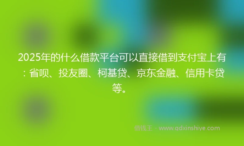 2025年的什么借款平台可以直接借到支付宝上有：省呗、投友圈、柯基贷、京东金融、信用卡贷等。