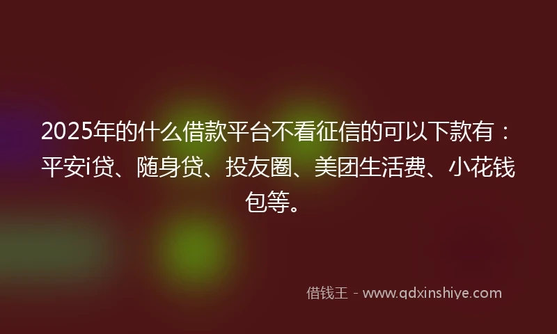 2025年的什么借款平台不看征信的可以下款有：平安i贷、随身贷、投友圈、美团生活费、小花钱包等。