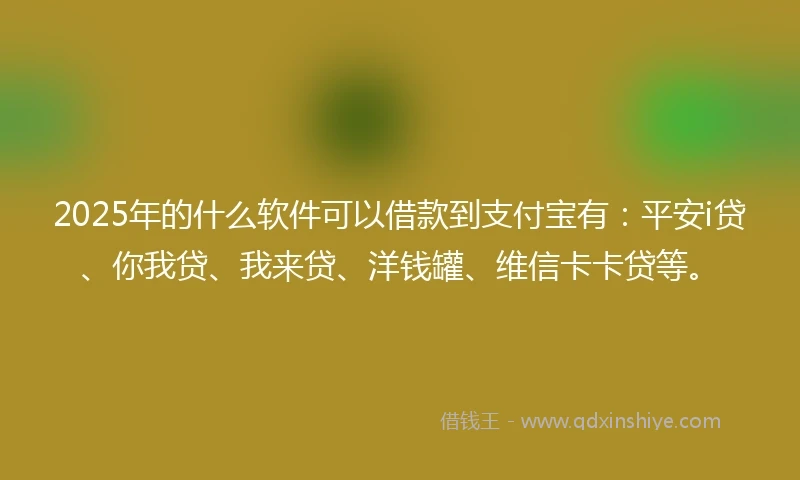 2025年的什么软件可以借款到支付宝有：平安i贷、你我贷、我来贷、洋钱罐、维信卡卡贷等。