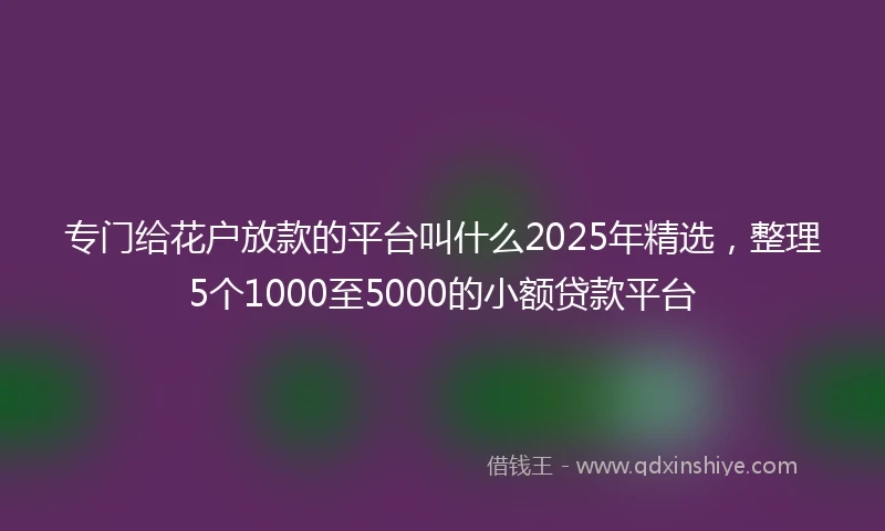专门给花户放款的平台叫什么2025年精选，整理5个1000至5000的小额贷款平台