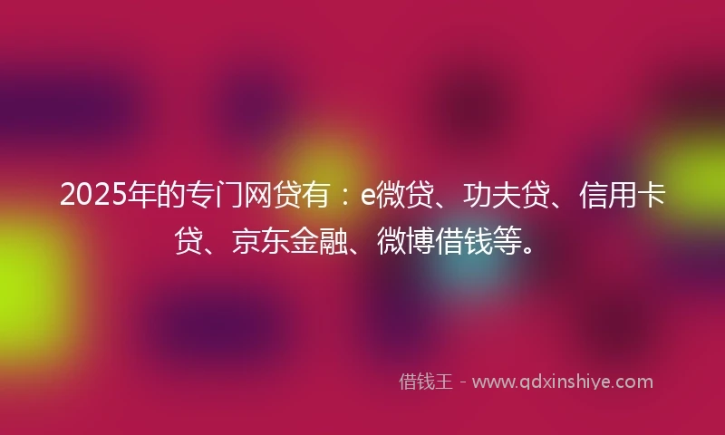 2025年的专门网贷有：e微贷、功夫贷、信用卡贷、京东金融、微博借钱等。