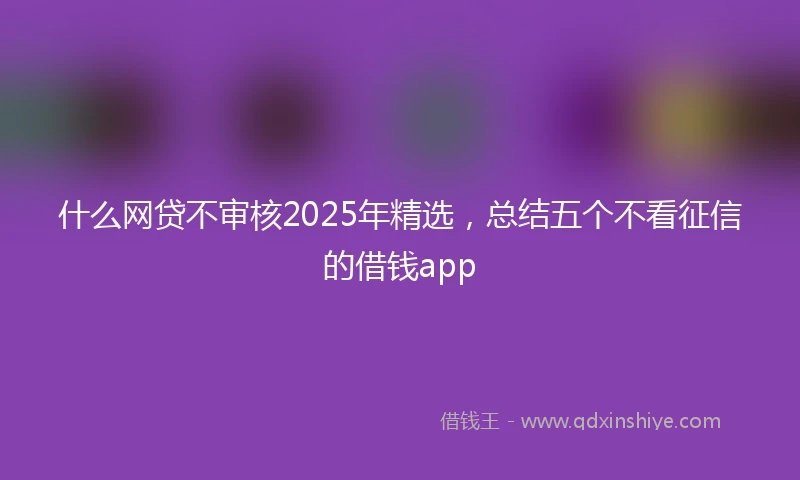 什么网贷不审核2025年精选，总结五个不看征信的借钱app