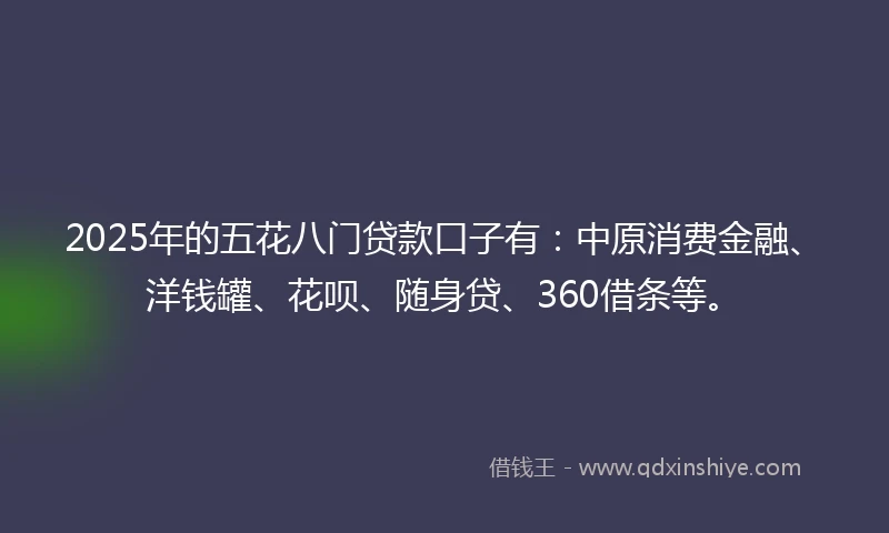 2025年的五花八门贷款口子有：中原消费金融、洋钱罐、花呗、随身贷、360借条等。