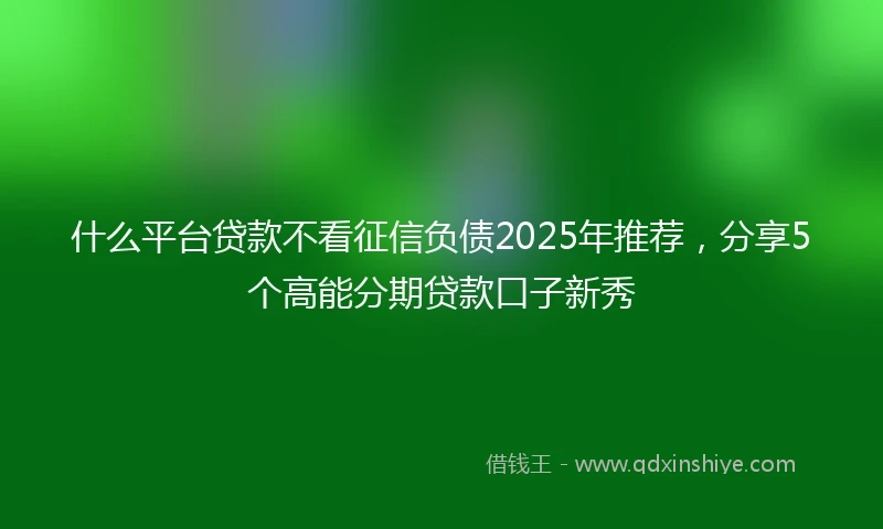 什么平台贷款不看征信负债2025年推荐，分享5个高能分期贷款口子新秀
