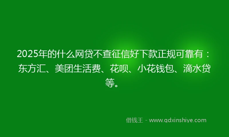 2025年的什么网贷不查征信好下款正规可靠有：东方汇、美团生活费、花呗、小花钱包、滴水贷等。