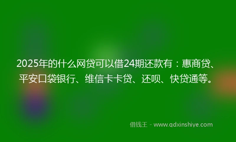 2025年的什么网贷可以借24期还款有：惠商贷、平安口袋银行、维信卡卡贷、还呗、快贷通等。