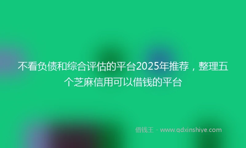 不看负债和综合评估的平台2025年推荐，整理五个芝麻信用可以借钱的平台