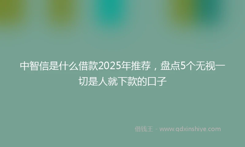 中智信是什么借款2025年推荐，盘点5个无视一切是人就下款的口子