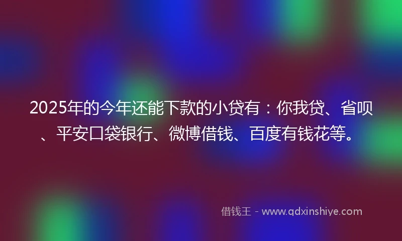 2025年的今年还能下款的小贷有：你我贷、省呗、平安口袋银行、微博借钱、百度有钱花等。