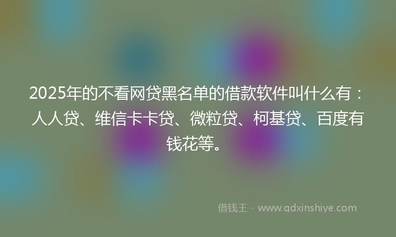 2025年的不看网贷黑名单的借款软件叫什么有：人人贷、维信卡卡贷、微粒贷、柯基贷、百度有钱花等。
