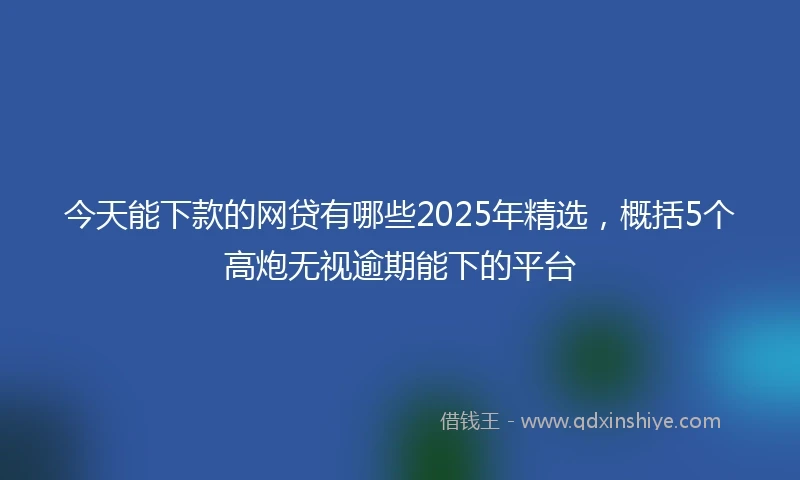 今天能下款的网贷有哪些2025年精选，概括5个高炮无视逾期能下的平台