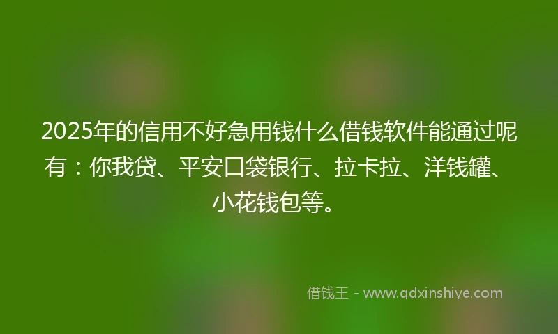 2025年的信用不好急用钱什么借钱软件能通过呢有：你我贷、平安口袋银行、拉卡拉、洋钱罐、小花钱包等。