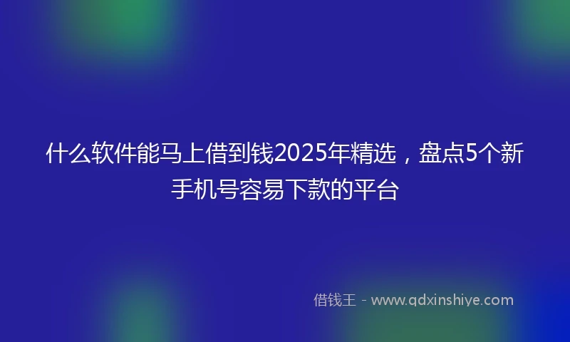 什么软件能马上借到钱2025年精选，盘点5个新手机号容易下款的平台