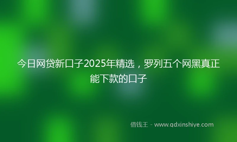 今日网贷新口子2025年精选，罗列五个网黑真正能下款的口子