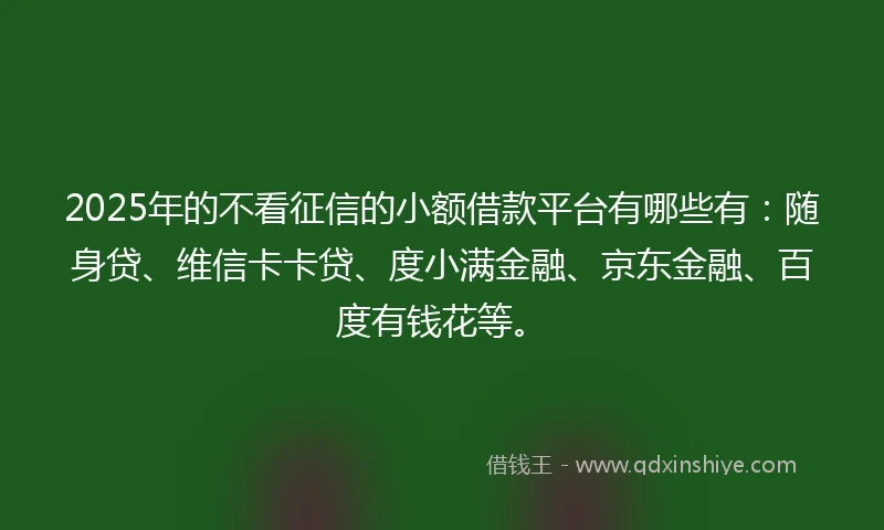 2025年的不看征信的小额借款平台有哪些有：随身贷、维信卡卡贷、度小满金融、京东金融、百度有钱花等。