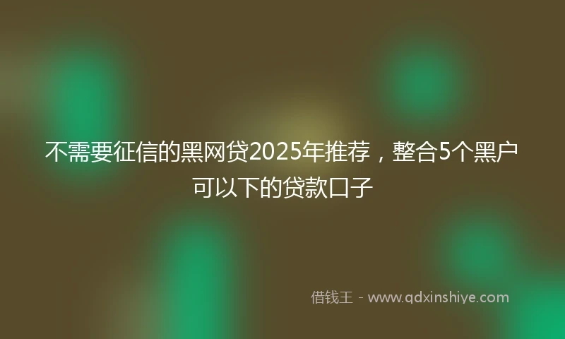 不需要征信的黑网贷2025年推荐，整合5个黑户可以下的贷款口子