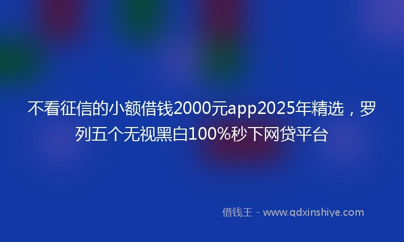 不看征信的小额借钱2000元app2025年精选，罗列五个无视黑白100%秒下网贷平台