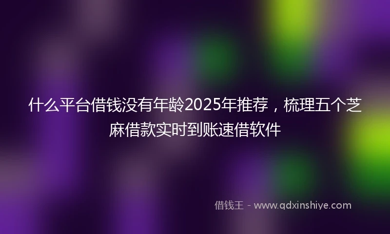 什么平台借钱没有年龄2025年推荐，梳理五个芝麻借款实时到账速借软件
