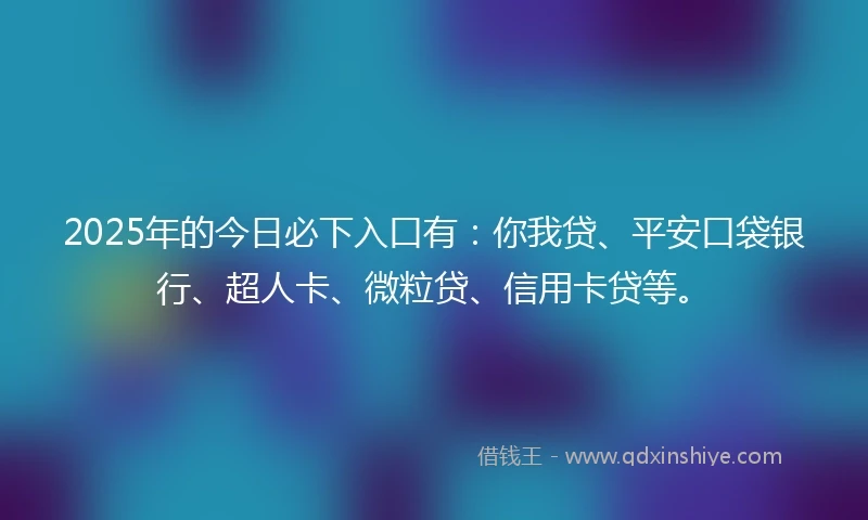 2025年的今日必下入口有：你我贷、平安口袋银行、超人卡、微粒贷、信用卡贷等。