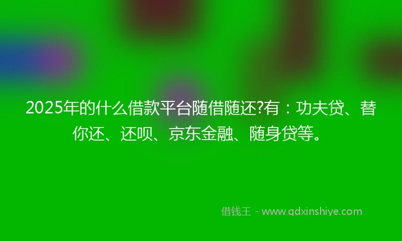 2025年的什么借款平台随借随还?有：功夫贷、替你还、还呗、京东金融、随身贷等。