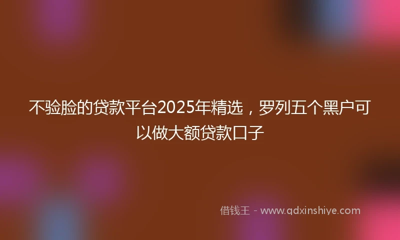 不验脸的贷款平台2025年精选，罗列五个黑户可以做大额贷款口子