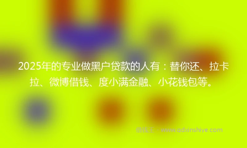 2025年的专业做黑户贷款的人有：替你还、拉卡拉、微博借钱、度小满金融、小花钱包等。