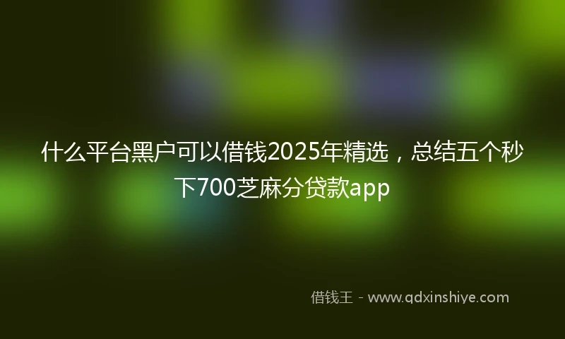 什么平台黑户可以借钱2025年精选，总结五个秒下700芝麻分贷款app