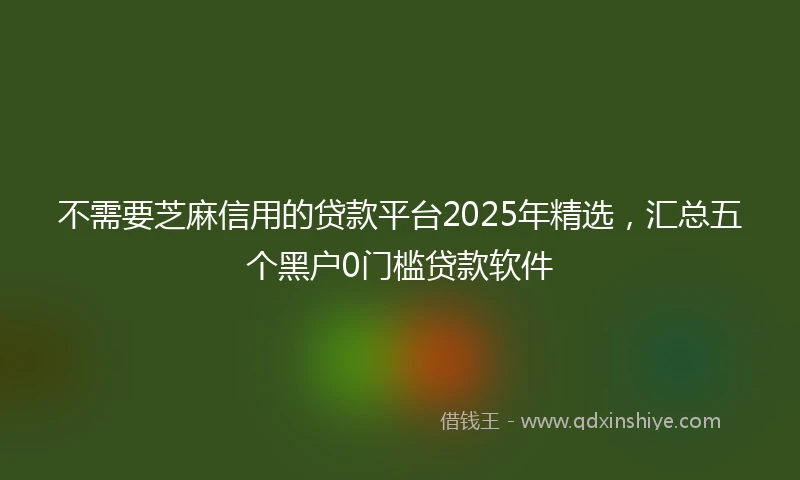 不需要芝麻信用的贷款平台2025年精选，汇总五个黑户0门槛贷款软件