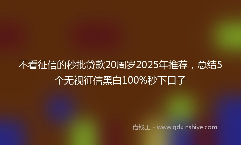 不看征信的秒批贷款20周岁2025年推荐，总结5个无视征信黑白100%秒下口子