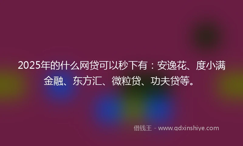 2025年的什么网贷可以秒下有：安逸花、度小满金融、东方汇、微粒贷、功夫贷等。