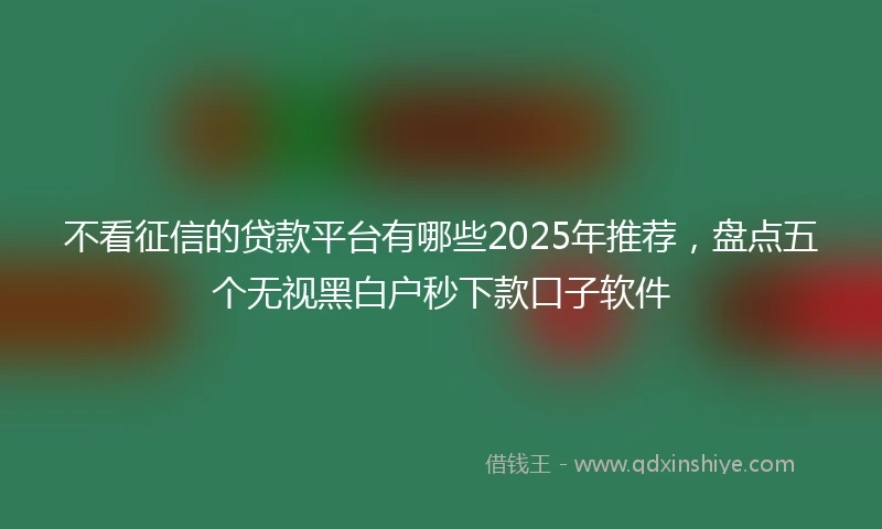 不看征信的贷款平台有哪些2025年推荐，盘点五个无视黑白户秒下款口子软件