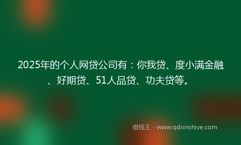 2025年的个人网贷公司有：你我贷、度小满金融、好期贷、51人品贷、功夫贷等。