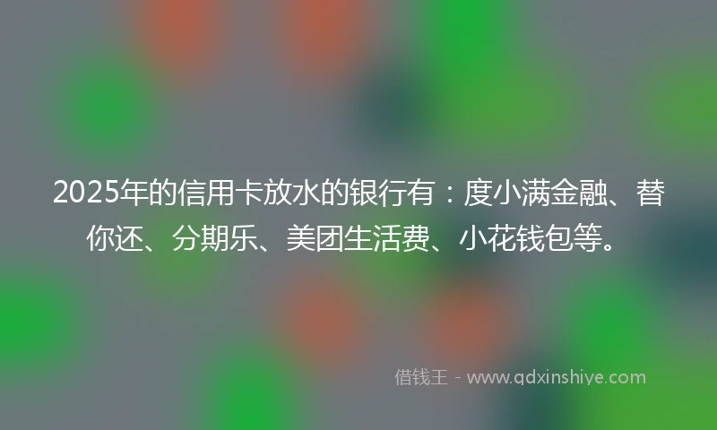 2025年的信用卡放水的银行有：度小满金融、替你还、分期乐、美团生活费、小花钱包等。