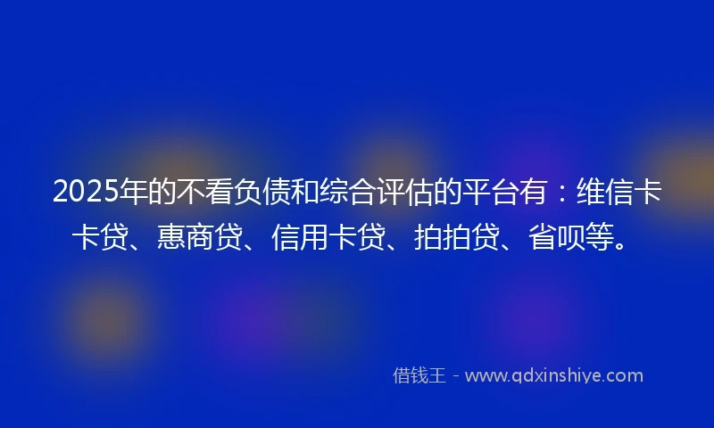2025年的不看负债和综合评估的平台有：维信卡卡贷、惠商贷、信用卡贷、拍拍贷、省呗等。