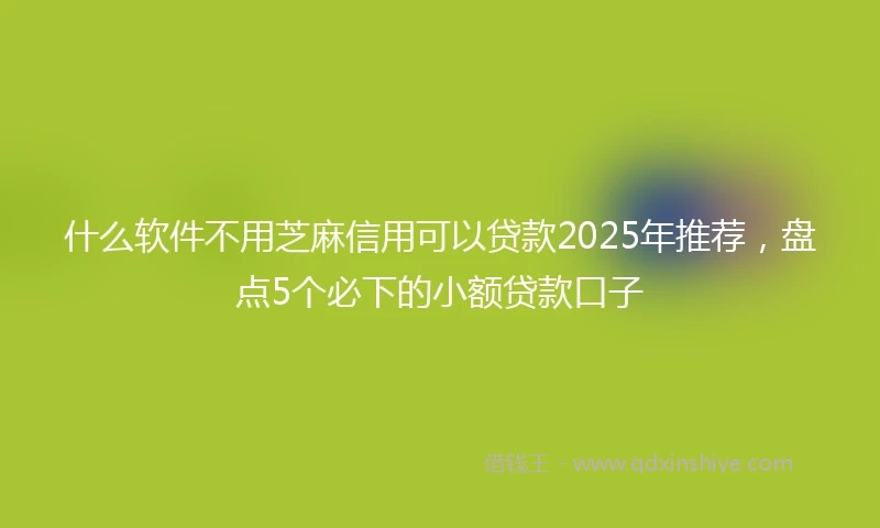 什么软件不用芝麻信用可以贷款2025年推荐，盘点5个必下的小额贷款口子