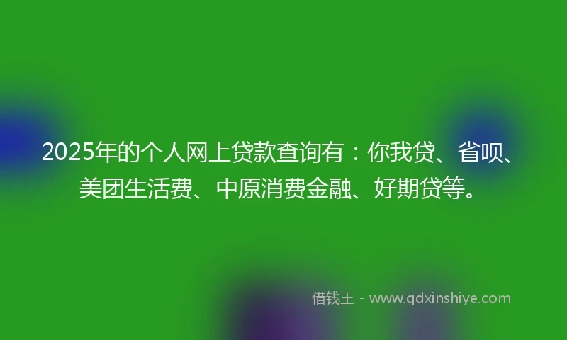 2025年的个人网上贷款查询有：你我贷、省呗、美团生活费、中原消费金融、好期贷等。