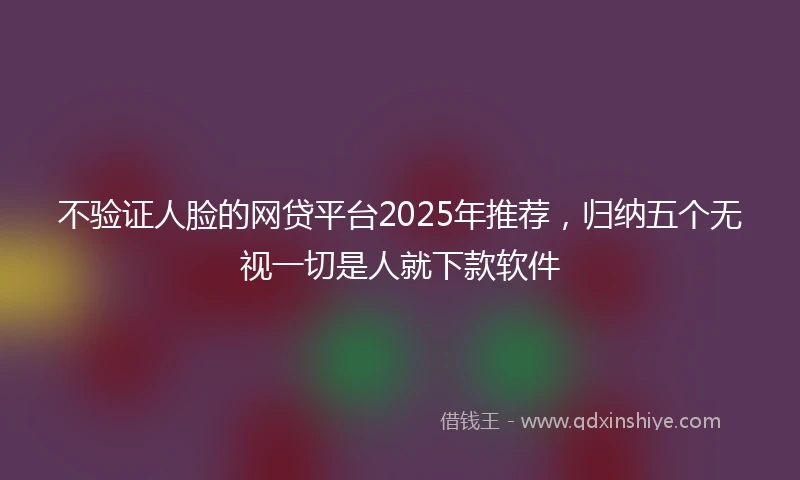 不验证人脸的网贷平台2025年推荐，归纳五个无视一切是人就下款软件