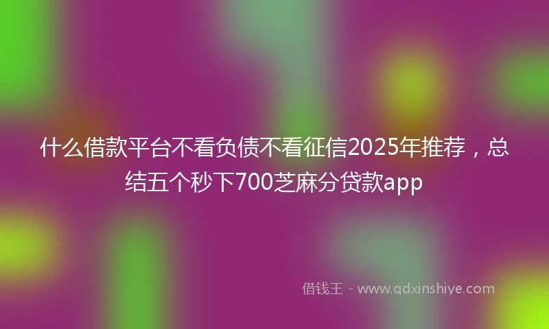 什么借款平台不看负债不看征信2025年推荐，总结五个秒下700芝麻分贷款app