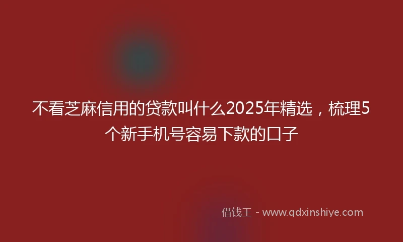 不看芝麻信用的贷款叫什么2025年精选，梳理5个新手机号容易下款的口子