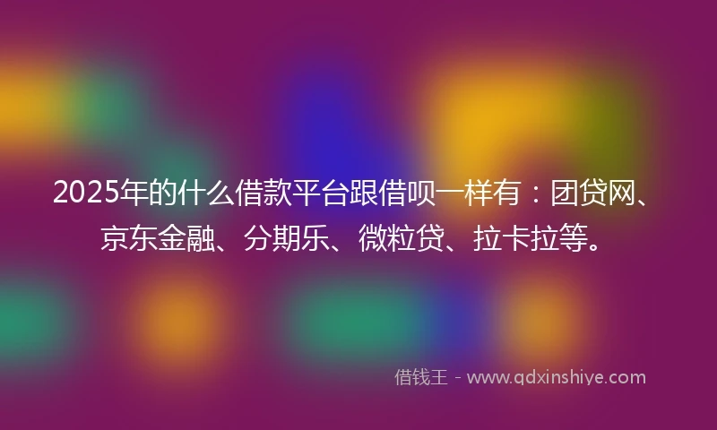2025年的什么借款平台跟借呗一样有：团贷网、京东金融、分期乐、微粒贷、拉卡拉等。