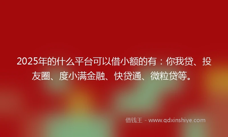 2025年的什么平台可以借小额的有：你我贷、投友圈、度小满金融、快贷通、微粒贷等。