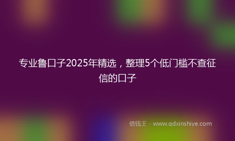专业鲁口子2025年精选，整理5个低门槛不查征信的口子