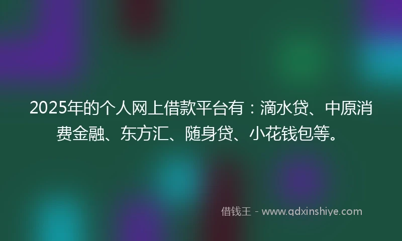 2025年的个人网上借款平台有：滴水贷、中原消费金融、东方汇、随身贷、小花钱包等。