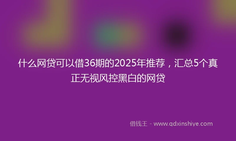 什么网贷可以借36期的2025年推荐，汇总5个真正无视风控黑白的网贷