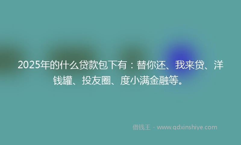 2025年的什么贷款包下有：替你还、我来贷、洋钱罐、投友圈、度小满金融等。