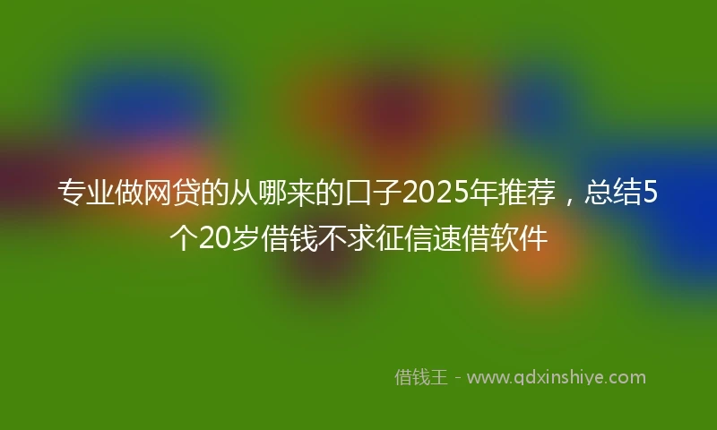 专业做网贷的从哪来的口子2025年推荐，总结5个20岁借钱不求征信速借软件