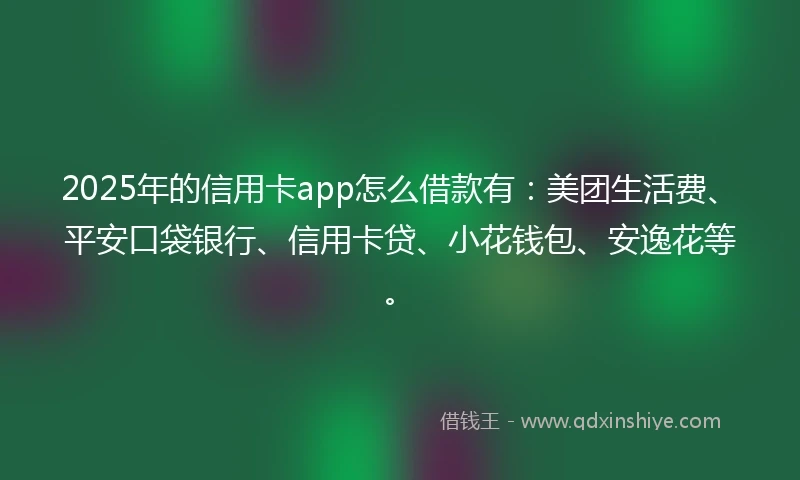 2025年的信用卡app怎么借款有：美团生活费、平安口袋银行、信用卡贷、小花钱包、安逸花等。