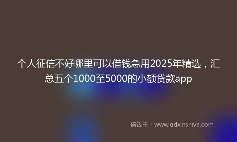 个人征信不好哪里可以借钱急用2025年精选，汇总五个1000至5000的小额贷款app
